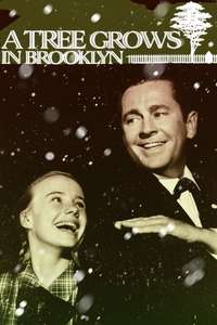 A Tree Grows in Brooklyn - Poster