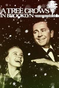 A Tree Grows in Brooklyn - Poster