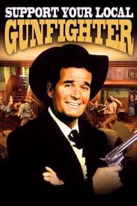 Support Your Local Gunfighter - Posters