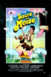 Wholly Moses - Poster