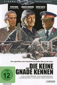 Raid on Entebbe - Posters
