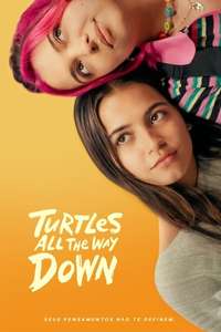 Turtles All the Way Down - Posters