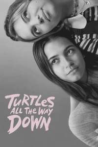 Turtles All the Way Down - Posters
