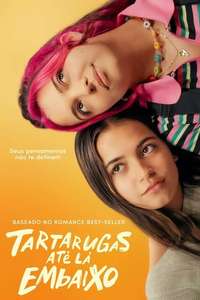 Turtles All the Way Down - Posters