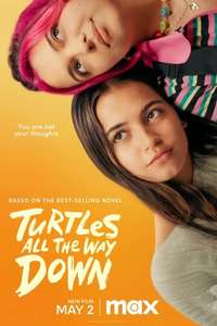 Turtles All the Way Down - Posters