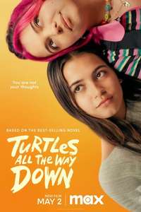 Turtles All the Way Down - Posters