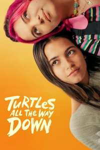 Turtles All the Way Down - Posters