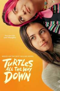 Turtles All the Way Down - Posters