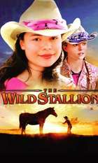 The Wild Stallion