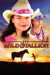 The Wild Stallion - Poster