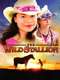 The Wild Stallion