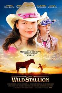 The Wild Stallion - Poster