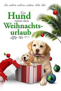 The Dog Who Saved the Holidays - Poster