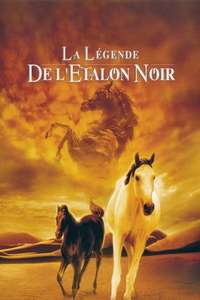 Young Black Stallion - Posters