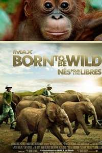 Born to Be Wild - Poster