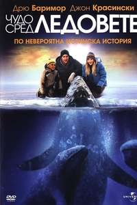 Big Miracle - Poster