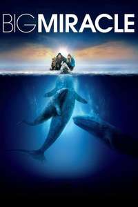 Big Miracle - Poster