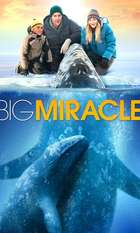 Big Miracle