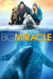 Big Miracle