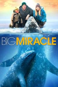 Big Miracle - Poster