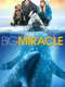 Big Miracle