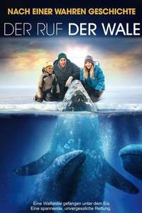 Big Miracle - Poster