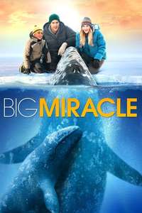 Big Miracle - Poster