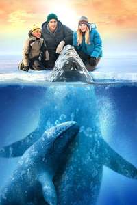 Big Miracle - Poster