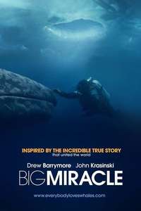Big Miracle - Poster