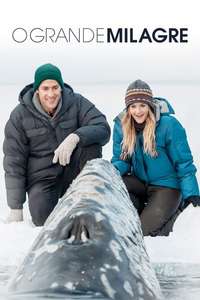 Big Miracle - Poster