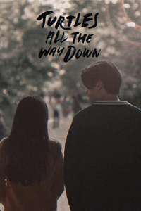 Turtles All the Way Down - Posters