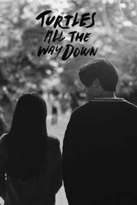 Turtles All the Way Down - Posters