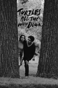 Turtles All the Way Down - Posters