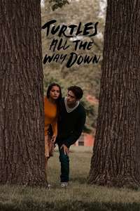 Turtles All the Way Down - Posters