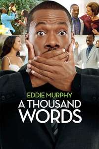 A Thousand Words - Poster