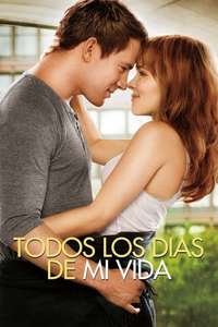 The Vow - Poster