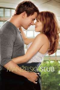 The Vow - Poster