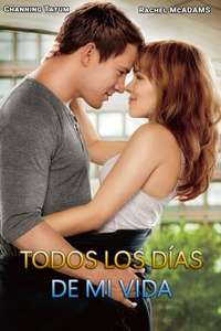 The Vow - Poster