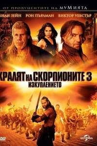 The Scorpion King 3: Battle for Redemption - Poster