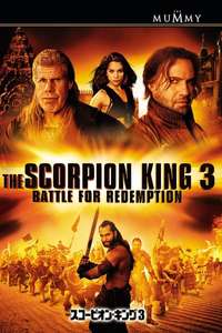 The Scorpion King 3: Battle for Redemption - Poster