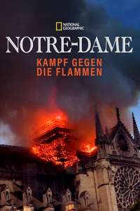 Notre-Dame: Race Against the Inferno - Posters