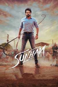 Sulthan - Posters