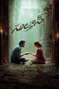 Sulthan - Posters
