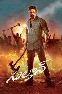 Sulthan - Posters