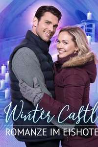 Winter Castle - Posters