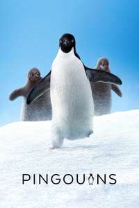 Penguins - Posters