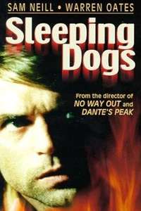 Sleeping Dogs - Posters