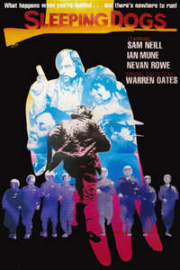 Sleeping Dogs - Posters