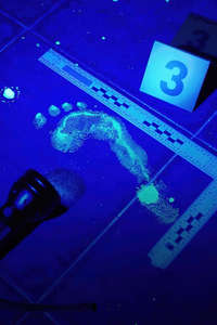 Forensic Files - Poster
