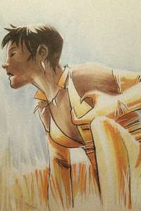 Vixen: The Movie - Poster